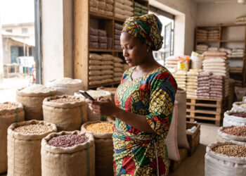 Africanising technology: Why AI must be built for the continent, not imported into it